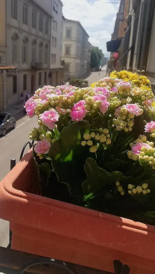 Albergo Duilio Φλωρεντία