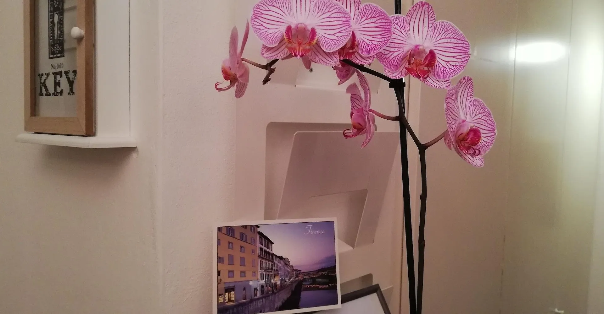 Guest house Albergo Duilio Florence Italy